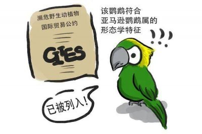 ​买卖“宠物”竟被刑拘？