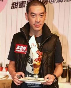 ​麦浚龙个人资料