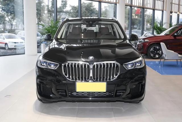 宝马x5百公里加速2.0t(性能强还省油5.6秒破百)(2)