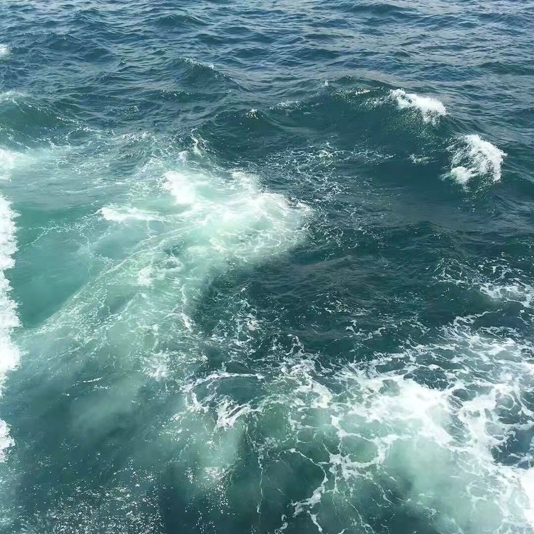 留在爱你的路是什么歌(邓紫棋的歌词文案)