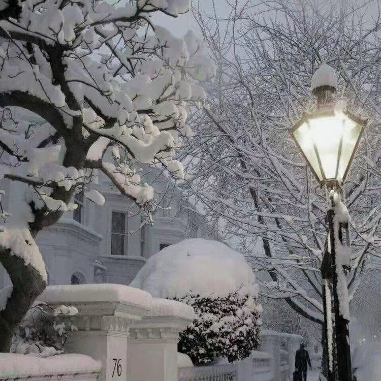 留在爱你的路是什么歌(邓紫棋的歌词文案)