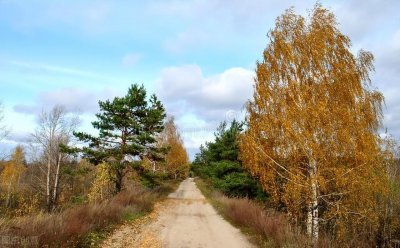 ​农历八月初五将至，谚语“初五下雨，旱到五月”为何意？