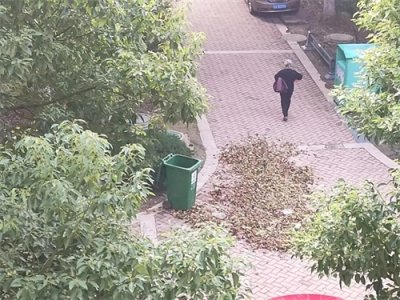 清明节的前夜让我发现了一个大秘密㊙️