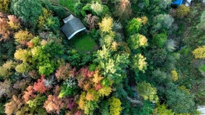 ​以前是褒义（中性）词，现在是贬义词！