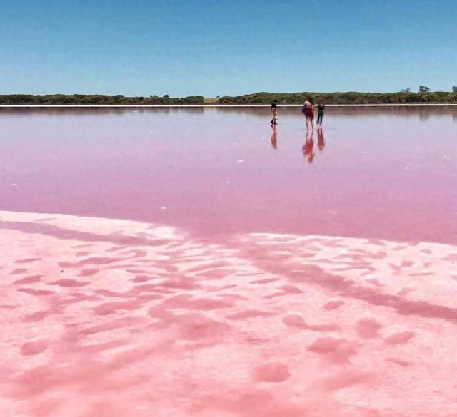 网络配图 网络配图