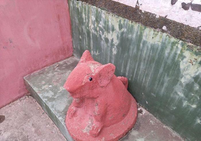 惠州沥林镇黄村发现一个后土神庙,神像竟为“猪”神像