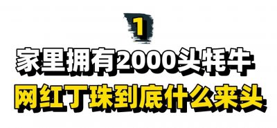 ​“女版丁真”丁珠：最美藏族女孩，坐拥2000头牛，冬虫夏草当零食