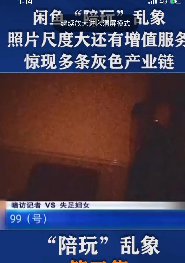 （你知道闲鱼的陪玩嘛）(3)