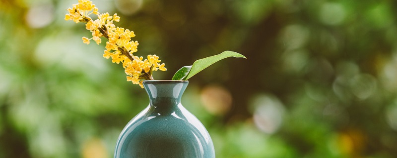 雨过天青云破出处