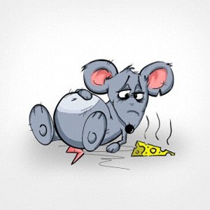 ​老鼠词汇辨析：Mouse与Rat