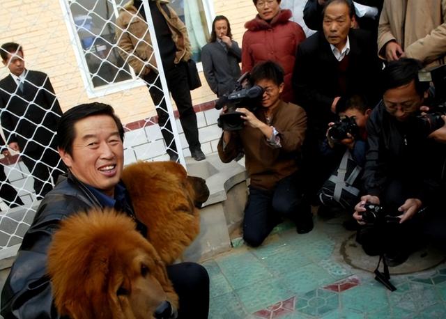 纯种藏獒和狮子哪个大（曾卖出4000万的天价）(6)