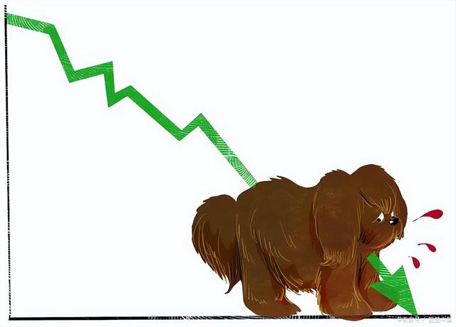 纯种藏獒和狮子哪个大（曾卖出4000万的天价）(9)