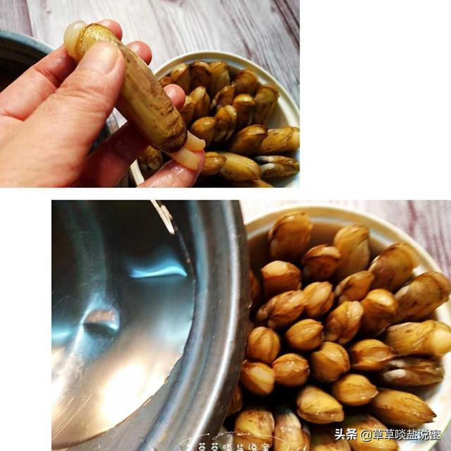 蛏子要怎么吃(蛏子要好吃就得知道这几点)(7)