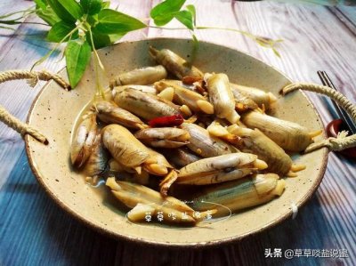 ​蛏子要怎么吃（蛏子要好吃就得知道这几点）