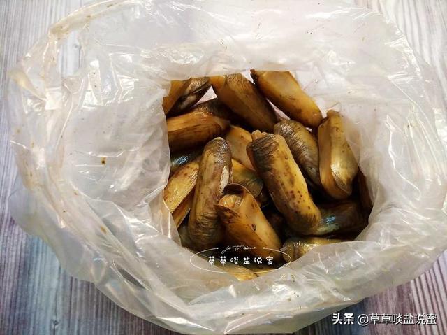 蛏子要怎么吃(蛏子要好吃就得知道这几点)(5)