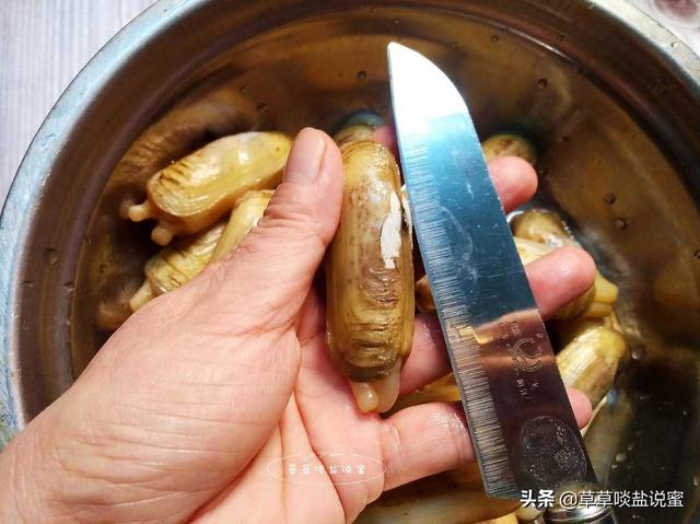 蛏子要怎么吃(蛏子要好吃就得知道这几点)(9)