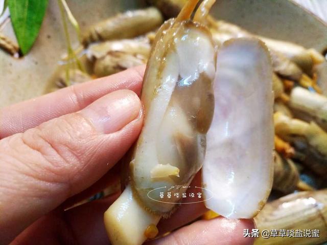 蛏子要怎么吃(蛏子要好吃就得知道这几点)(15)