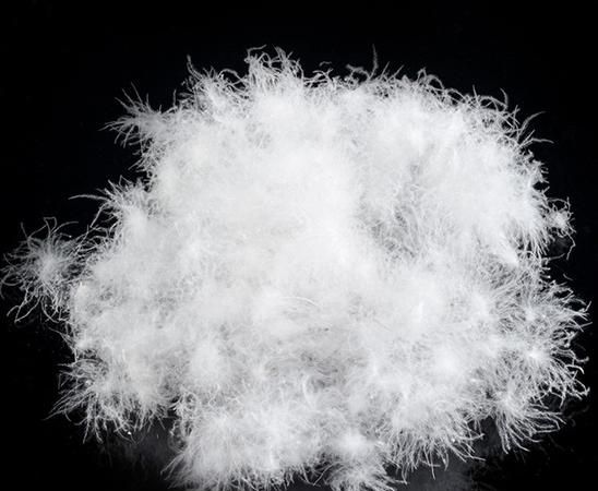 70白鸭绒和90白鸭绒的区别