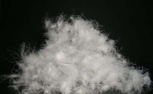 白鸭绒和灰鸭绒的区别,70白鸭绒和90白鸭绒的区别图6