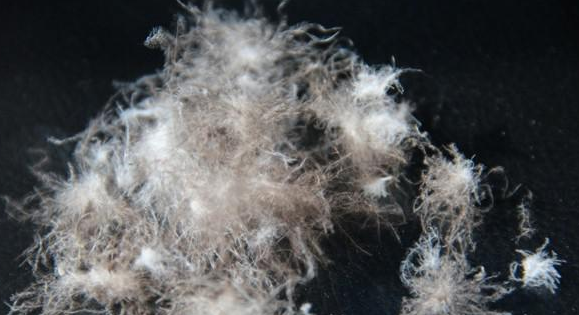 白鸭绒和灰鸭绒的区别,70白鸭绒和90白鸭绒的区别图5