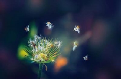 ​社保卡如何能取钱出来社保卡如何取钱？