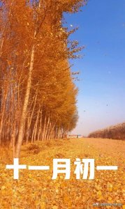 ​农历十一月初一，天晴好？还是阴雨好？看老祖宗的谚语怎么说