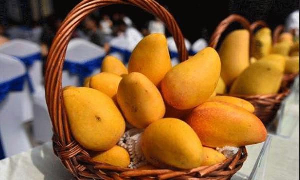 芒果能放冰箱冷藏吗