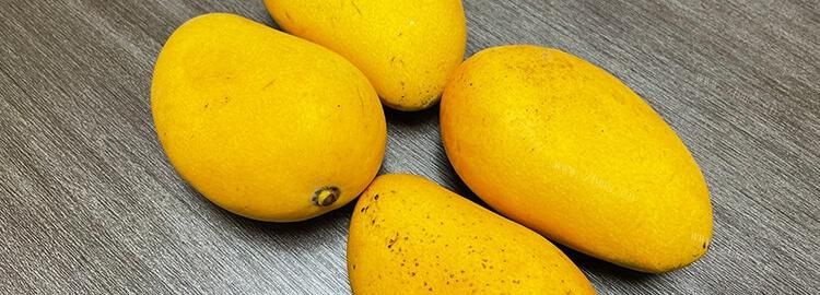 芒果可以放冰箱里面保存吗