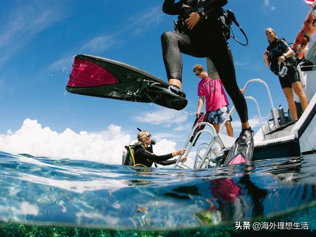 最有意思的世界趣闻（来自世界各地的10个趣事）(5)