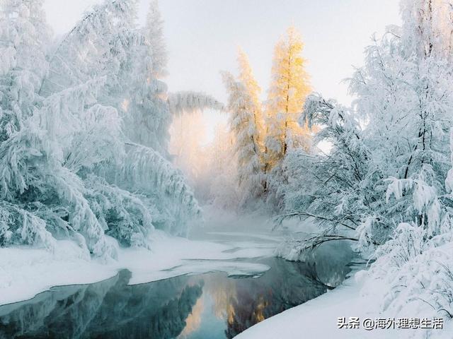 最有意思的世界趣闻（来自世界各地的10个趣事）(3)