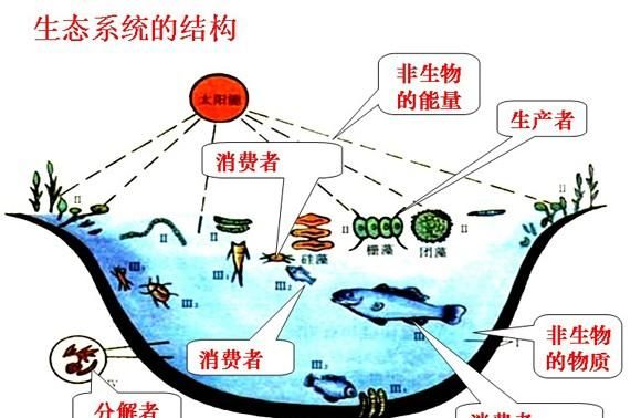 我家里有鼩鼱怎么处理，老鼠嘴又尖又长,眼睛很小比芝麻还小,体长5cm左右，叫起来声音很尖锐，是什么品种？要照片。不是鼹鼠？图10