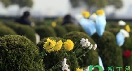 扫墓时间有什么讲究：清明节扫墓时间有什么讲究