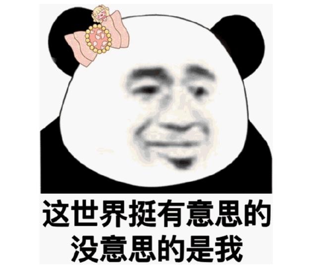 狗狗不晕车训练方法（狗狗8个星期学会开车很厉害）(5)