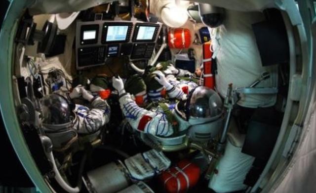 狗狗不晕车训练方法（狗狗8个星期学会开车很厉害）(11)