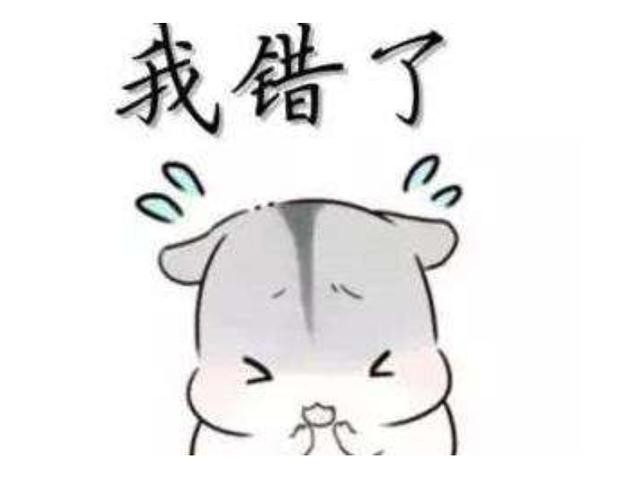 狗狗不晕车训练方法（狗狗8个星期学会开车很厉害）(20)