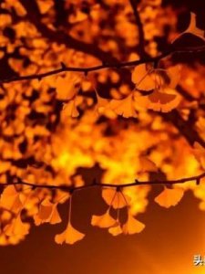 ​忽有故人心上过(忽有故人心上过,轻舟已过万重山什么意思)