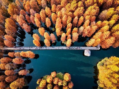 ​上海最值得一去的十大绝美公园