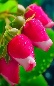 ​处理好前男友前女友之间的关系是夫妻关系的根本保障