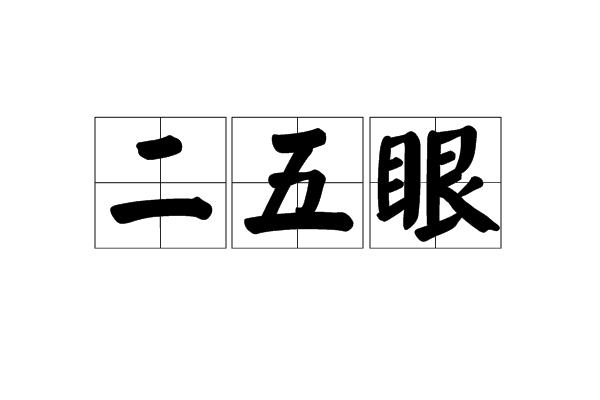 二五眼是什么意思（怎么理解二五眼的意思）