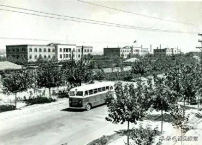 ​王家难念的经：“野蛮生长”的弟弟 险被下毒的哥哥（王凌云家事）