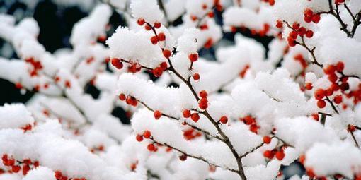 数九寒天的歌与诗词