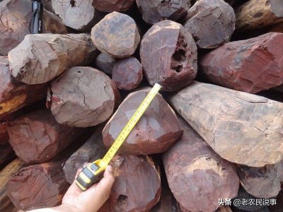 ​阴沉木如何鉴定（阴沉木如何鉴定价格）