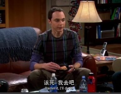 ​美剧里常见的单词Damn解析