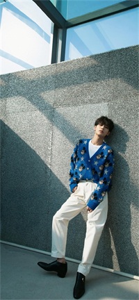 林彦俊内地明星写真手机壁纸