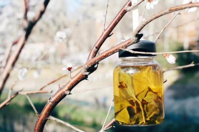 ​简单梳理一下台湾茶