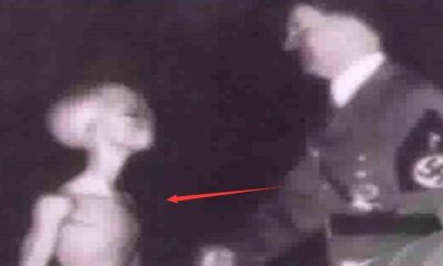 ​历年拍到的那些外星人照片，UFO爱好者的珍藏