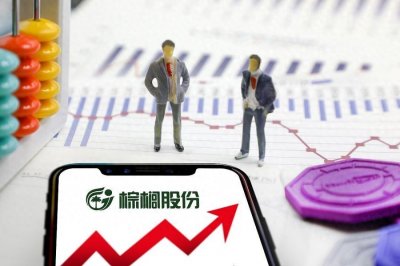 ​棕榈股份股评：潜力股的逆袭之路