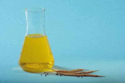 ​常见榨油原料——油菜籽