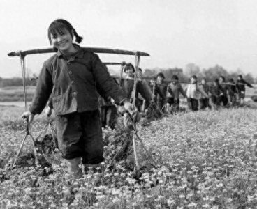 ​#60后的我们，哪些年的回忆与坚持…