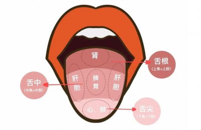 ​五种中医常见舌象，看看你的舌头有吗?